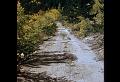 aspen road